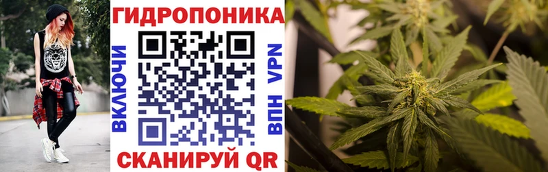 Все наркотики Грязи Cocaine  МЕФ  Галлюциногенные грибы  ГАШИШ  A PVP 