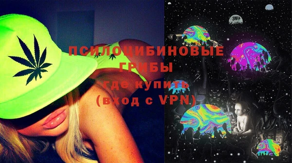 ГАЛЛЮЦИНОГЕННЫЕ ГРИБЫ Алексеевка