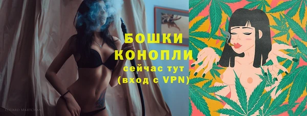ПСИЛОЦИБИНОВЫЕ ГРИБЫ Снежногорск