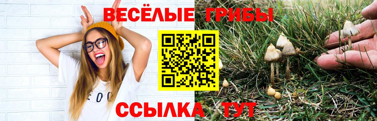 Псилоцибиновые грибы мицелий Грязи