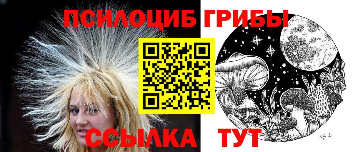 Галлюциногенные грибы прущие грибы  что такое   Грязи  Вход с VPN  Псилоцибиновые грибы мицелий 